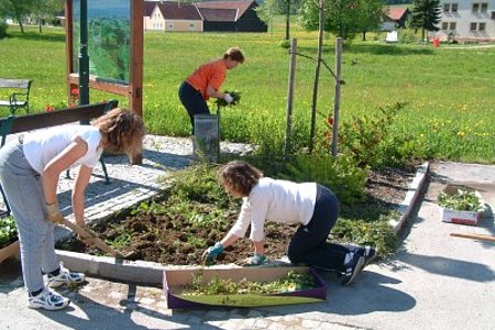 Die freiwilligen Helfer des Verschönerungsvereines beim Aussetzen der Blumen