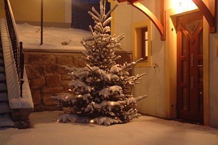Weihnachtsbeleuchtung beim Dorfhaus Walterschlag - Foto J. Krapfenbauer