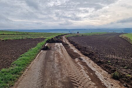 Bankettschneiden am Almerlußweg