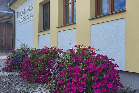Um die Pflege der Blumen am Dorfplatz in Walterschlag kümmert sich seit vielen Jahren Herta Klenn, die jetzt ihren 70. Geburtstag feiern kann.