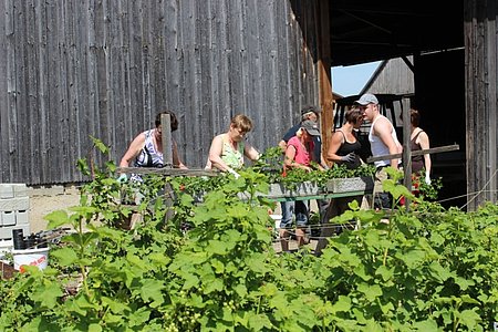Die Bevölkerung aus Sallingstadt bei den Vorbereitungsarbeiten für den Blumenschmuck.