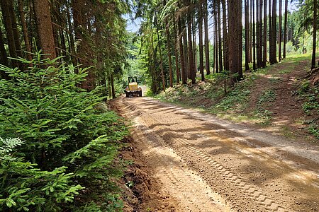 Gräderung am Reiterweg